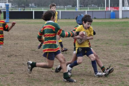 IMG_6916.jpg