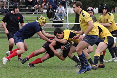 IMG_8567.jpg