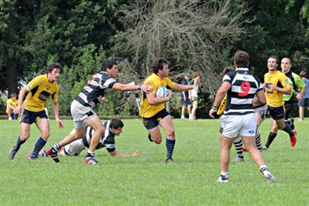 IMG_9652.jpg