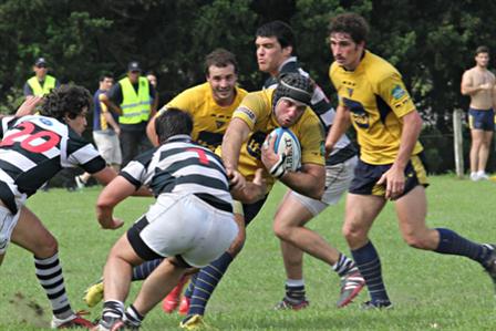 IMG_9655.jpg